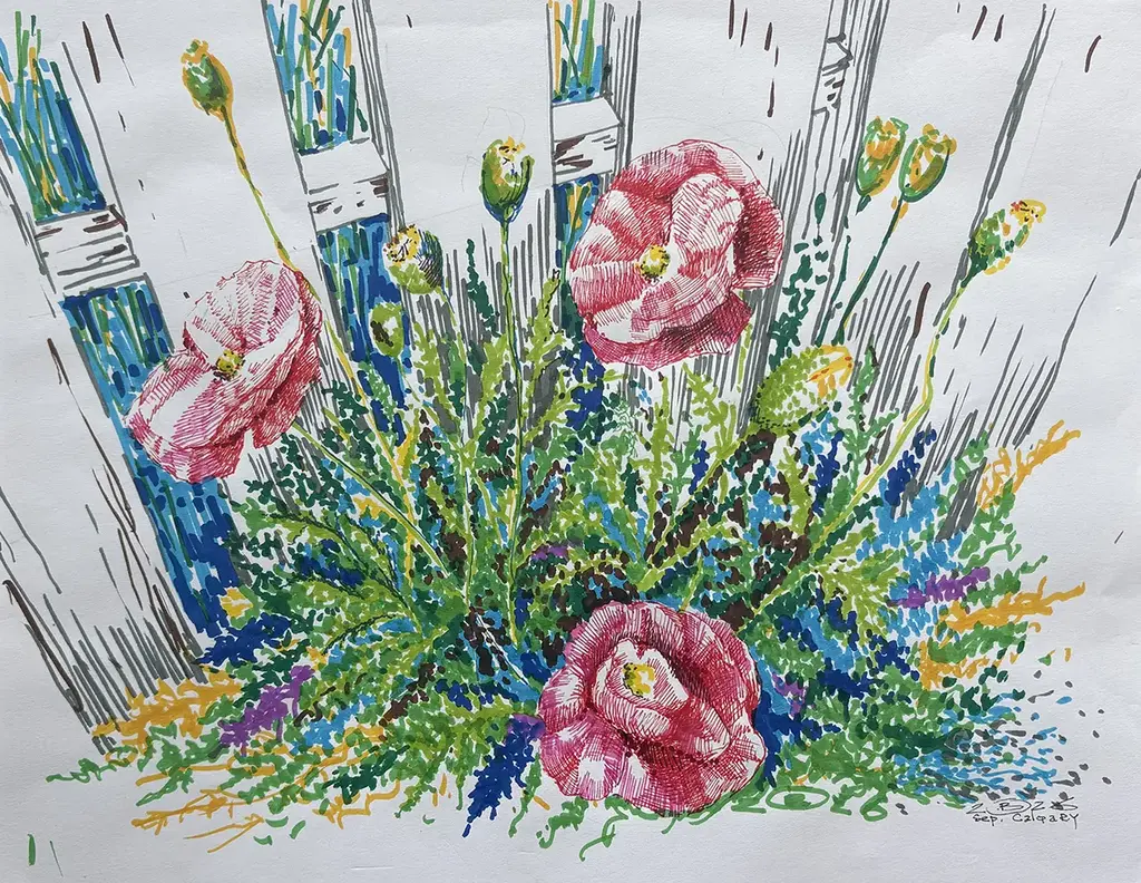 Marker and pen drawing of red poppies growing against a white picket fence, by Oleh Bolyuk, 2026
